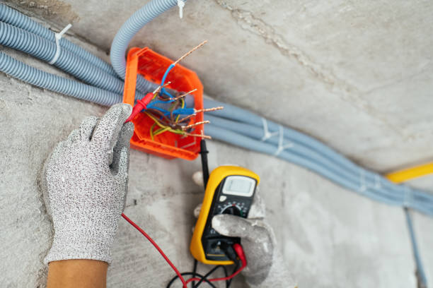 Best Local Electrician Companies  in Nashville, MI
