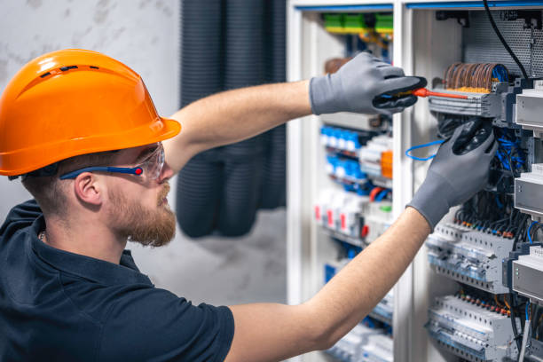 Best Home Electrical Repair  in Nashville, MI