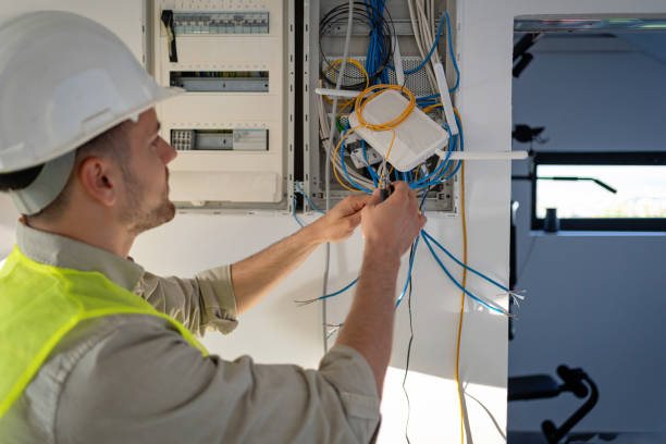 Best Electrical System Inspection  in Nashville, MI